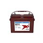 TROJAN Deep Cycle Traksjonsbatteri 12V 115AH (326x168x247mm) Polstilling 4 - Plusspol til venstre